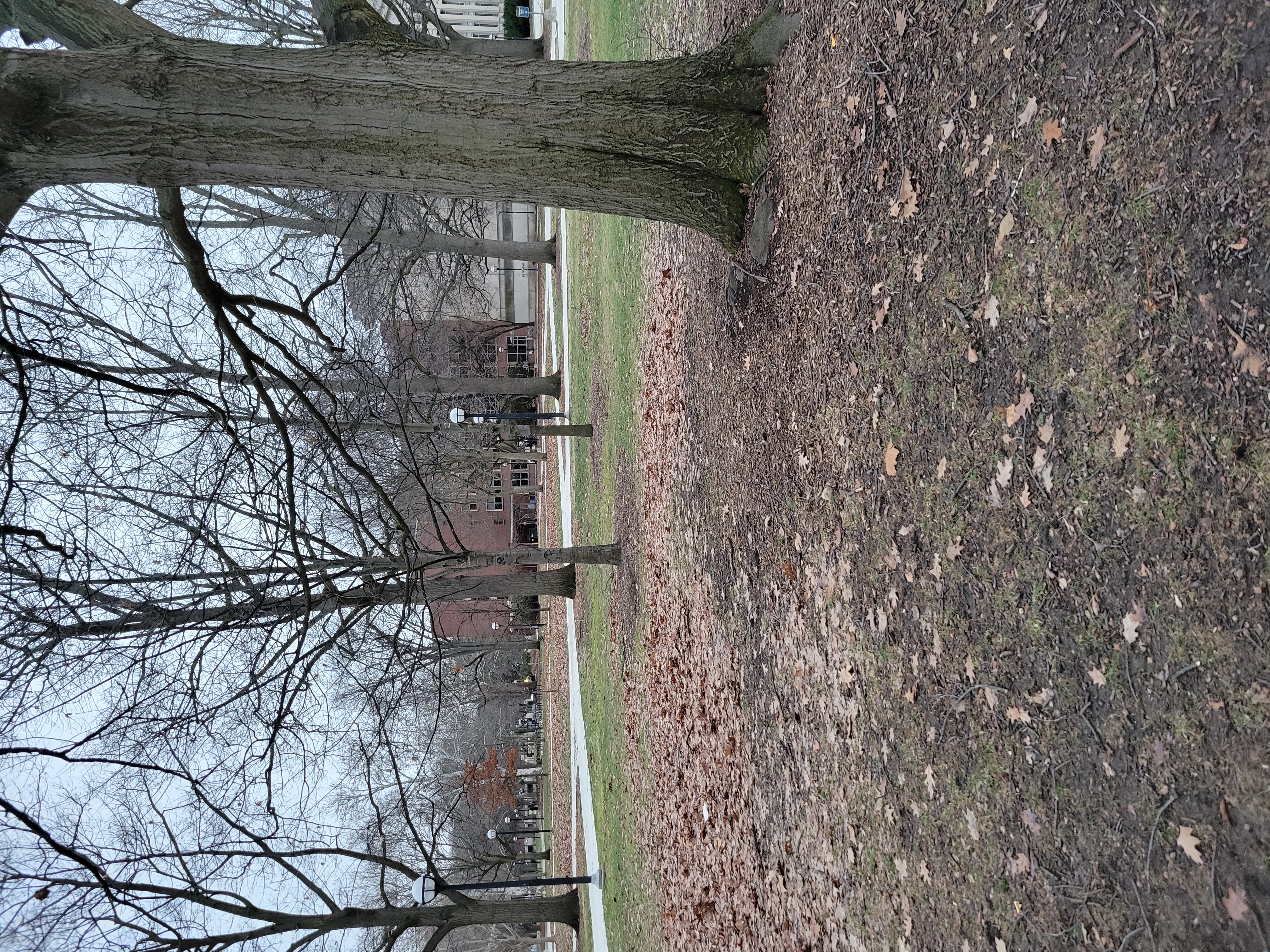 Real-life location featured in the book